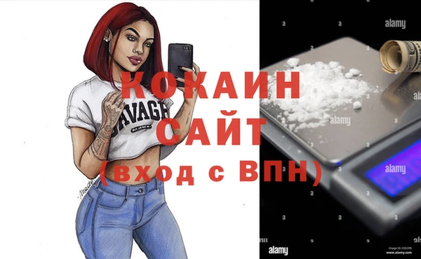 ГАЛЛЮЦИНОГЕННЫЕ ГРИБЫ Осинники