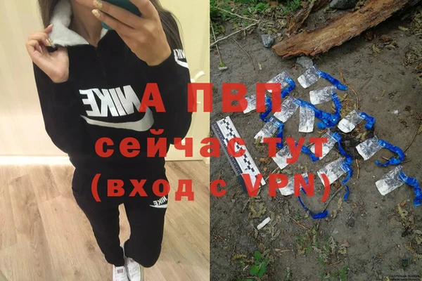 ГАЛЛЮЦИНОГЕННЫЕ ГРИБЫ Осинники