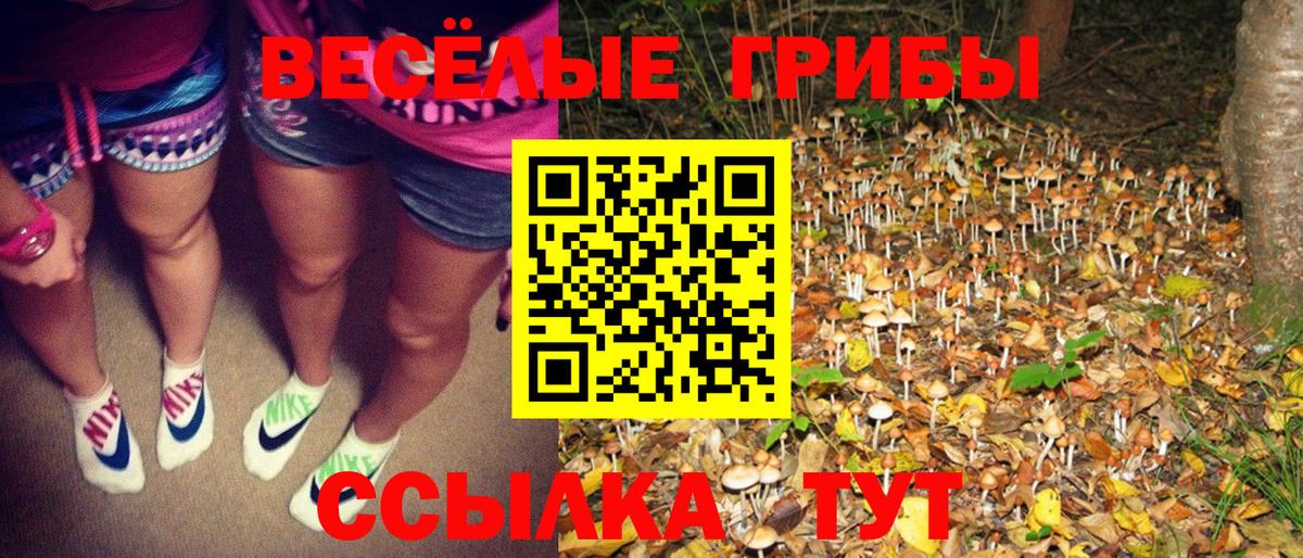 Бутират Серов