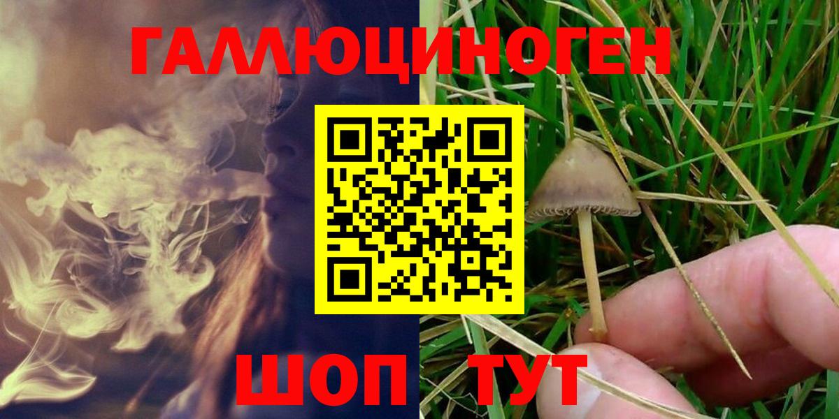 наркотики  Вход с VPN  Серов  Псилоцибиновые грибы Magic Shrooms 