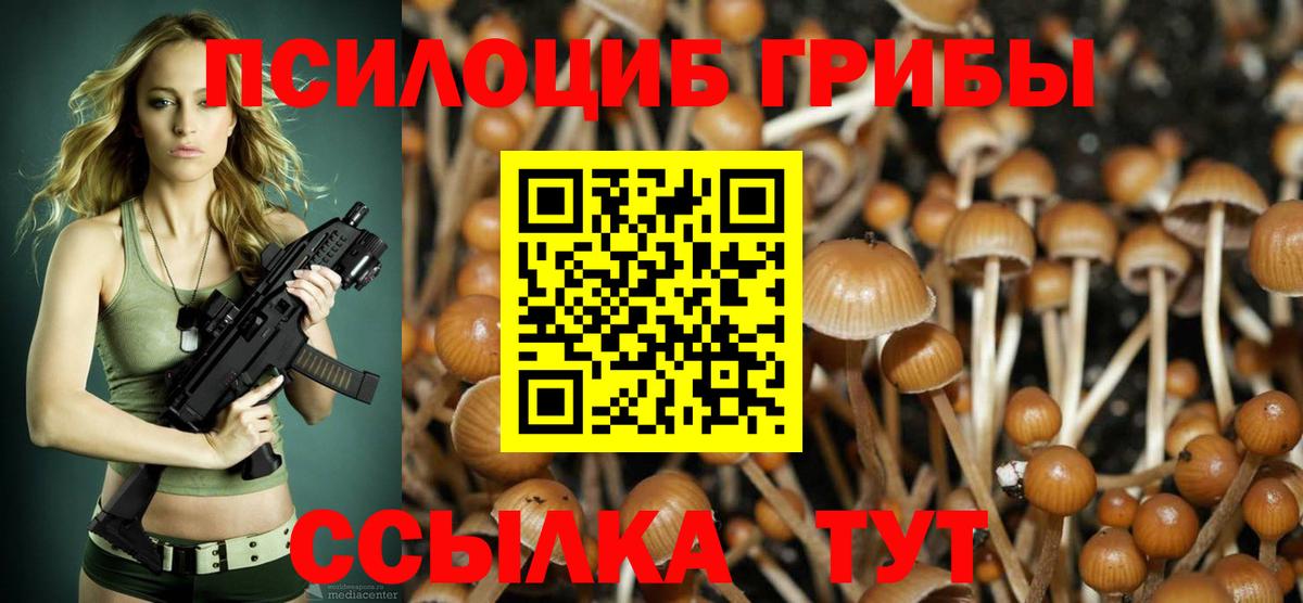 Псилоцибиновые грибы Psilocybine cubensis Серов