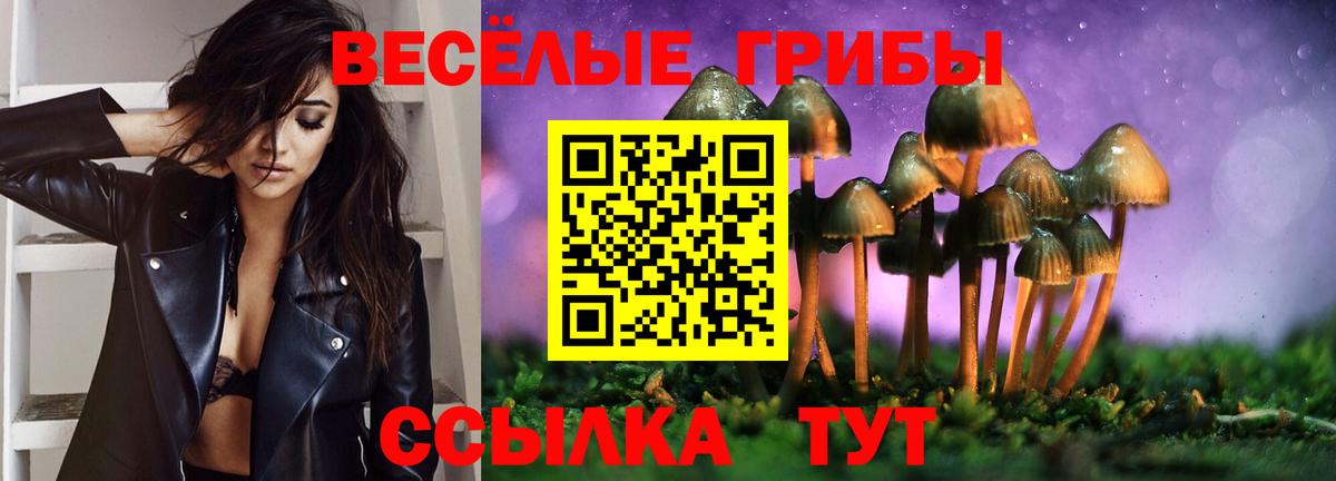 Псилоцибиновые грибы Cubensis Серов